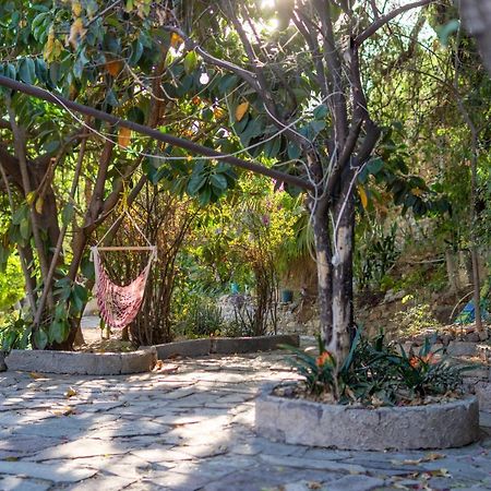 מלון גואנאחואטו Casa Ikal מראה חיצוני תמונה